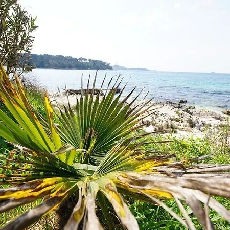 Guest house In With Terrace, Air Conditioning, W-lan 81-5 Rovinj